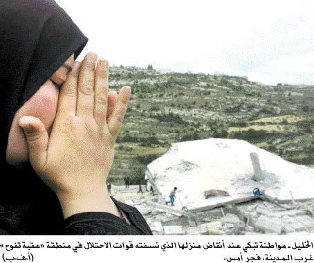 A Palestinian woman crying on the rubbles of her house, which was destroyed by Israeli occupation forces in Aqabet Tafouh, Hebron, yesterday (Al-Ayyam, 1/28/03). 