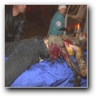 [Click to enlarge image]