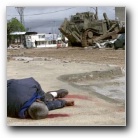 [Click to enlarge image]