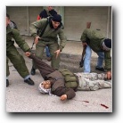 [Click to enlarge image]