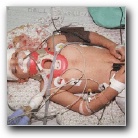 [Click to enlarge image]