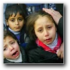 [Click to enlarge image]