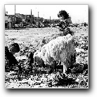 [Click to enlarge image]